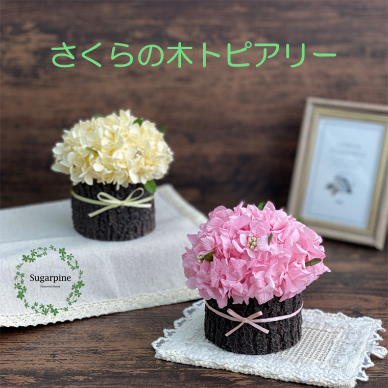AJ219-1 プリザーブドフラワーさくらの木　春日部市シュガーパイン