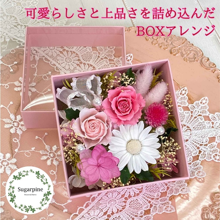 プリザーブドフラワー　フラフィ　春日部市　シュガーパイン（AJ239）