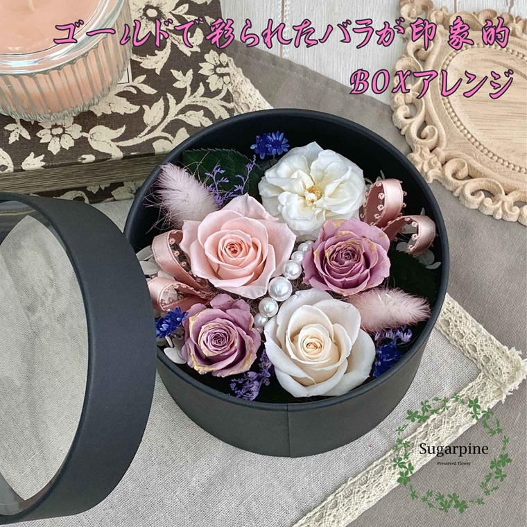 プリザーブドフラワー　ロゼッタ　春日部市　シュガーパイン（AJ242）