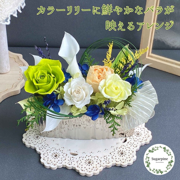 プリザーブドフラワー　クオーレ　春日部市　シュガーパイン（AJ245）