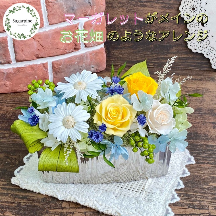 プリザーブドフラワー　ピュール　春日部市　シュガーパイン（AJ246）