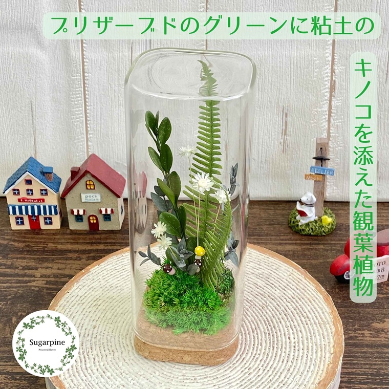 プリザーブドフラワー　トリル　春日部市　シュガーパイン（AJ247）