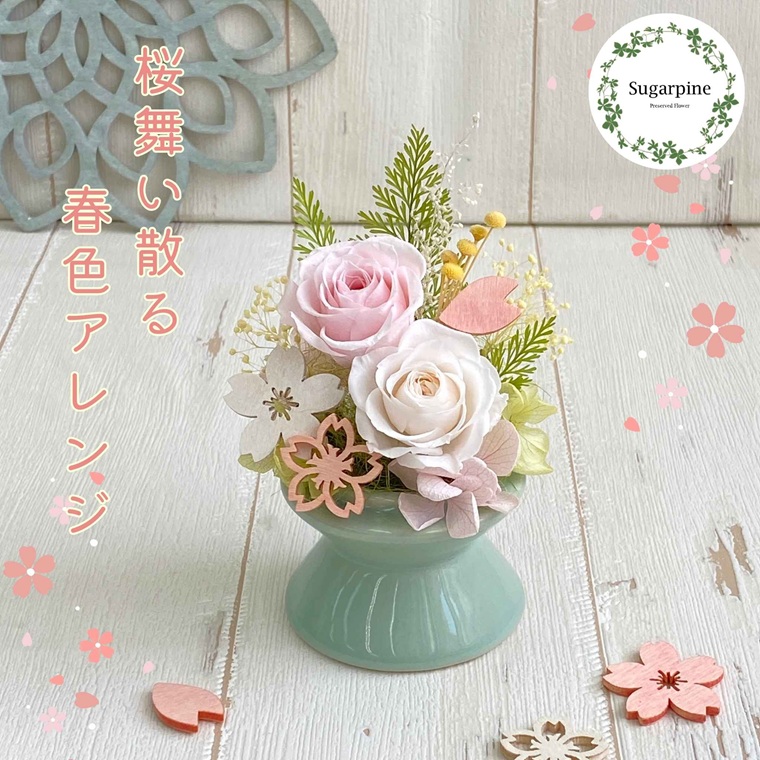 プリザーブドフラワー　舞桜（まお）　春日部市　シュガーパイン（AJ248）