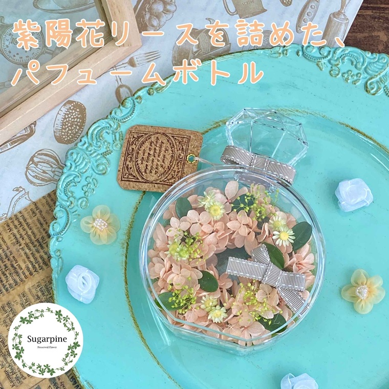 プリザーブドフラワー　ミミ　春日部市　シュガーパイン（AJ249）