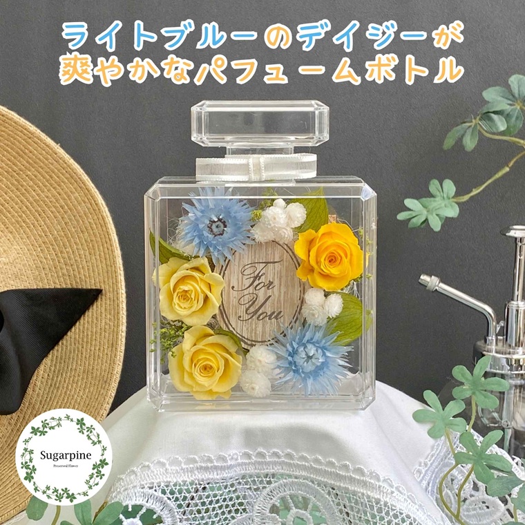 プリザーブドフラワー　レア　春日部市　シュガーパイン（AJ251）