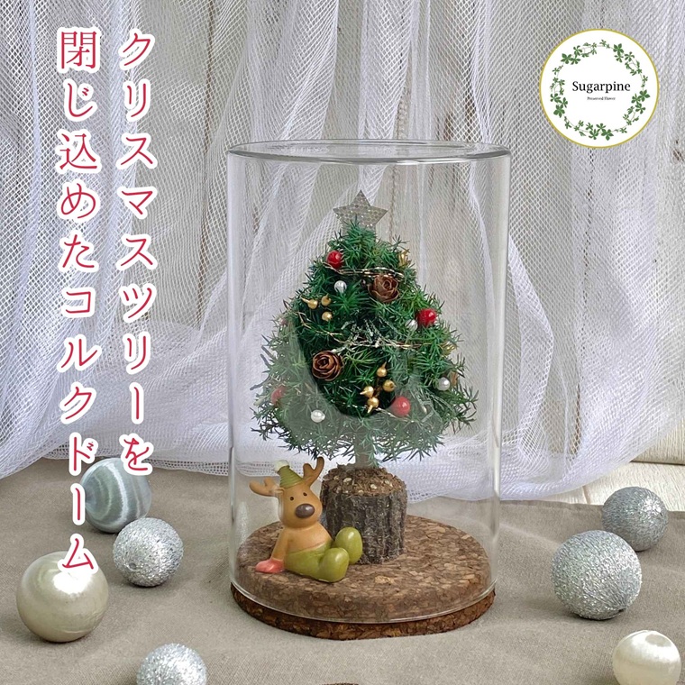 プリザーブドフラワー　レンヌ　春日部市　シュガーパイン（AJ265）