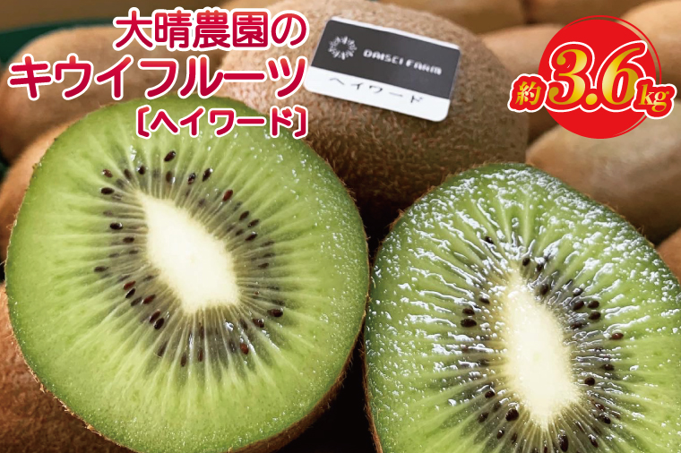 【先行予約】【ヘイワード約3.6kg】贈答用大箱大晴農園のキウイフルーツ（BY004-2）