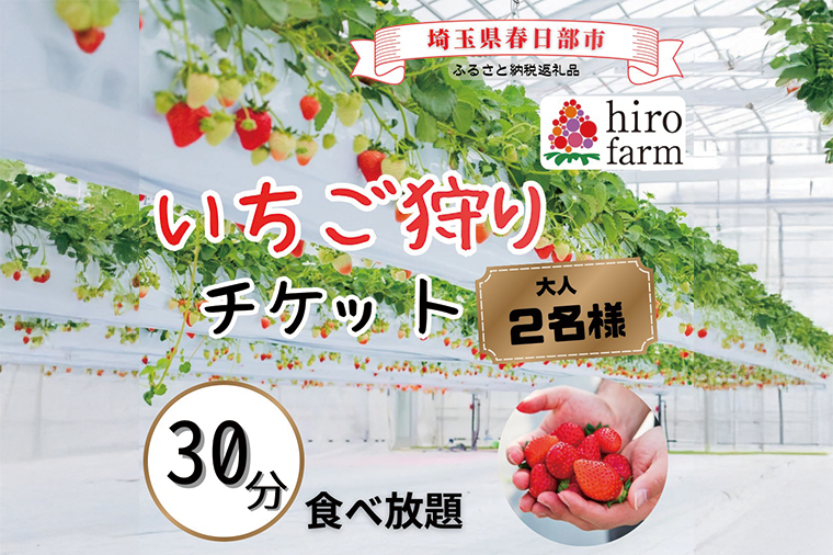 いちご狩りペアチケット【埼玉県春日部いちご狩りペア券農園体験バリアフリー】（DI009）