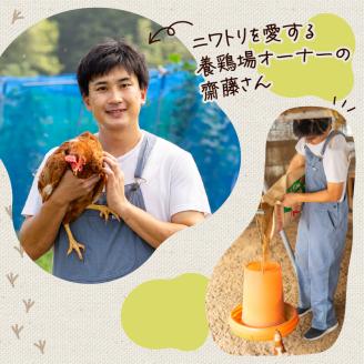 【定期便3回】こだわり たまご 30個 (10個×3パック) 新鮮 平飼い 卵 埼玉県 羽生市 送料無料