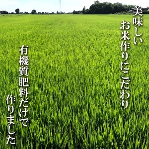 彩のきずな 10kg 令和6年 2024年 特別栽培米 pino farm ブランド米 お米 おこめ