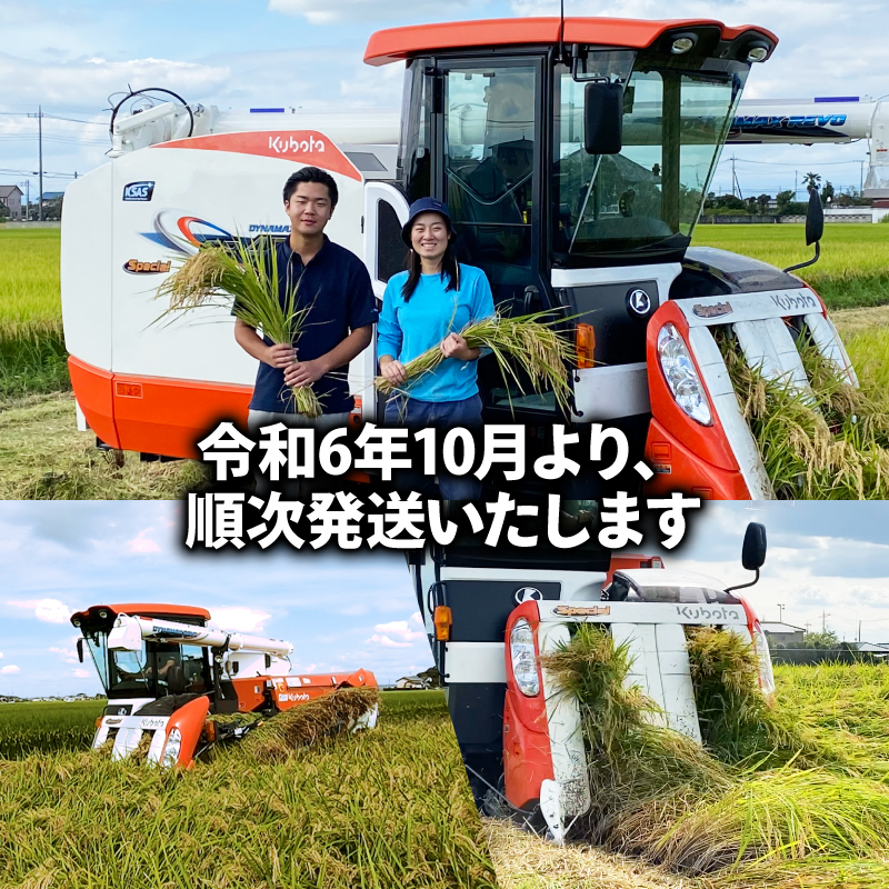 【予約】令和6年産 玄米 コシヒカリ 30kg 新米 | お米 おこめ 米 こめ