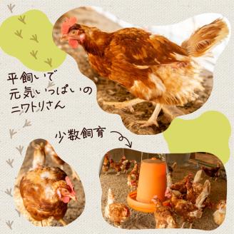 【定期便3回】こだわり たまご 30個 (10個×3パック) 新鮮 平飼い 卵 埼玉県 羽生市 送料無料