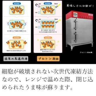 【 訳あり 】 うなぎ 鰻 おこわ 12個 蒲焼 白焼 刻み蒲焼 小分け 京都鰻割烹まえはら監修 埼玉県 羽生市
