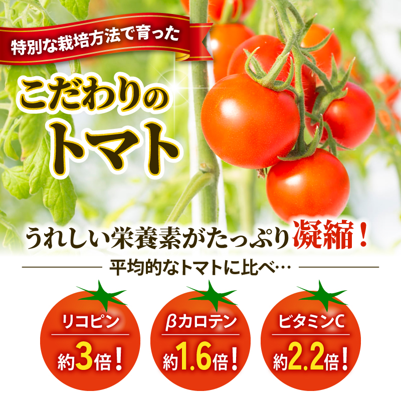 【 訳あり 】 トマト 1kg 風の子ファーム 埼玉県 羽生市