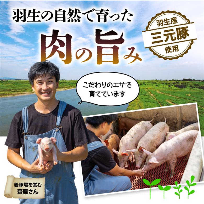 ロース 生姜焼き 1.2kg 豚肉