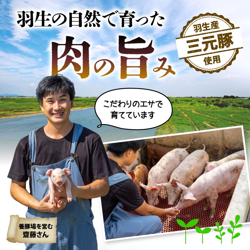 【ハンバーグ】 3.6kg 冷凍 無添加 牛 豚 合挽き 肉 惣菜 埼玉県 羽生市 3.6kg (18個)