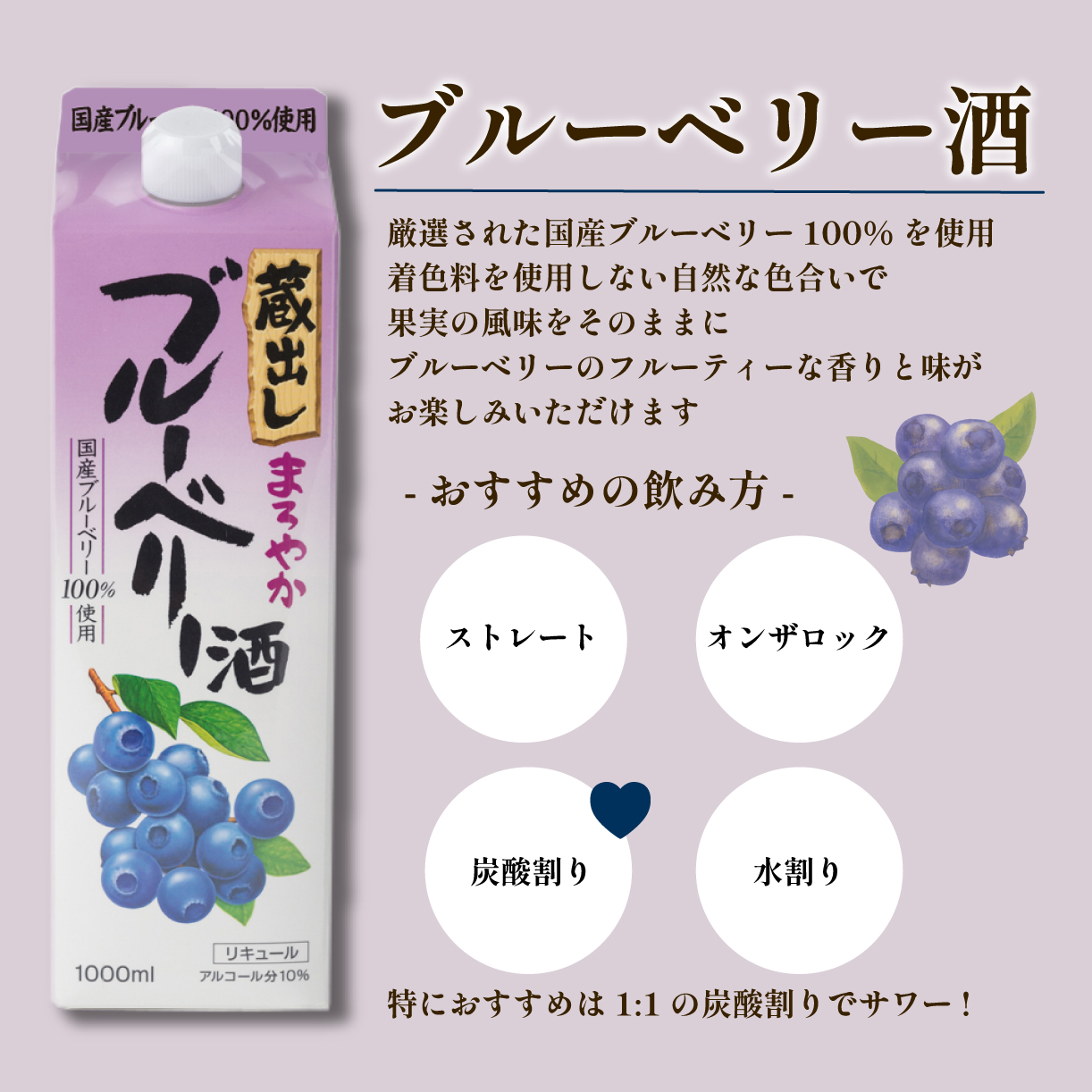 果実酒 リキュール セット