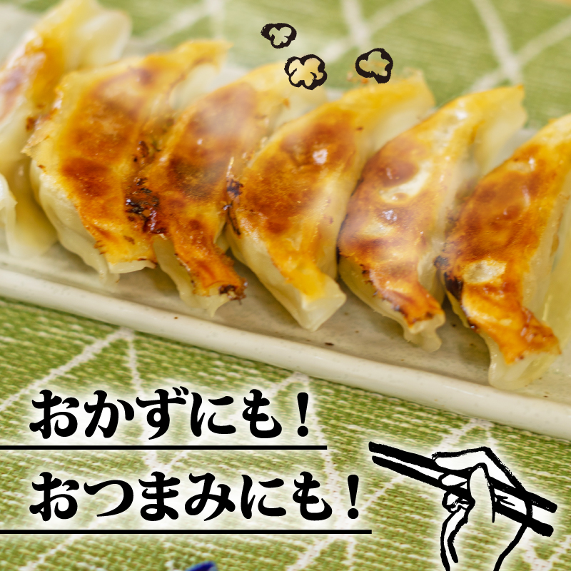 訳あり 冷凍餃子 105個 うまみ家 惣菜 点心 中華 ぎょうざ