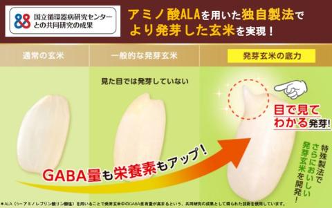 発芽玄米の底力(ドライ米タイプ) 1kg×2袋 生活習慣病 ケア 高血圧 中性脂肪 コレステロール 対策 健康 羽生 埼玉