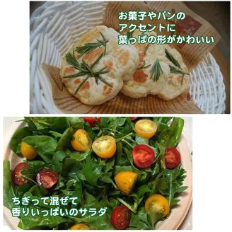 ハーブ栽培セット ～届いたその日から始められる～「キッチンハーブ」