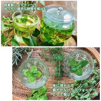 ハーブ栽培セット ～届いたその日から始められる～「ティーハーブ」