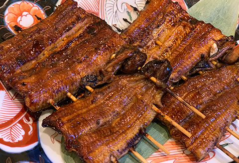 【 定期便 】うなぎ 上蒲焼 150g 2枚 6回 鰻 ウナギ 上蒲焼 2枚 定期便6回