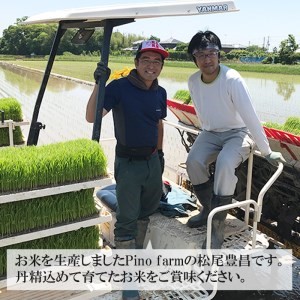 彩のきずな 10kg 令和6年 2024年 特別栽培米 pino farm ブランド米 お米 おこめ