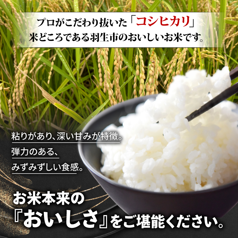 【予約】令和6年産 玄米 コシヒカリ 30kg 新米 | お米 おこめ 米 こめ