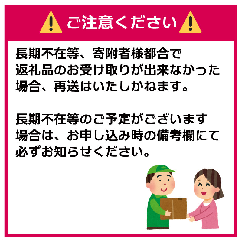 パックごはん 200g×12個 お米 米 国産 保存食 JAほくさい 12食