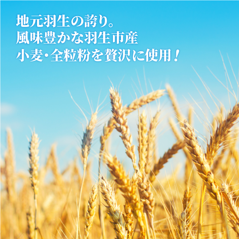 訳あり 冷凍 ピザ 3枚 セット マルゲリータ アンチョビ ブラックオリーブ ベーコン 玉ねぎ チーズ 全粒粉 イタリア料理店 カーザミーア 埼玉県 羽生市