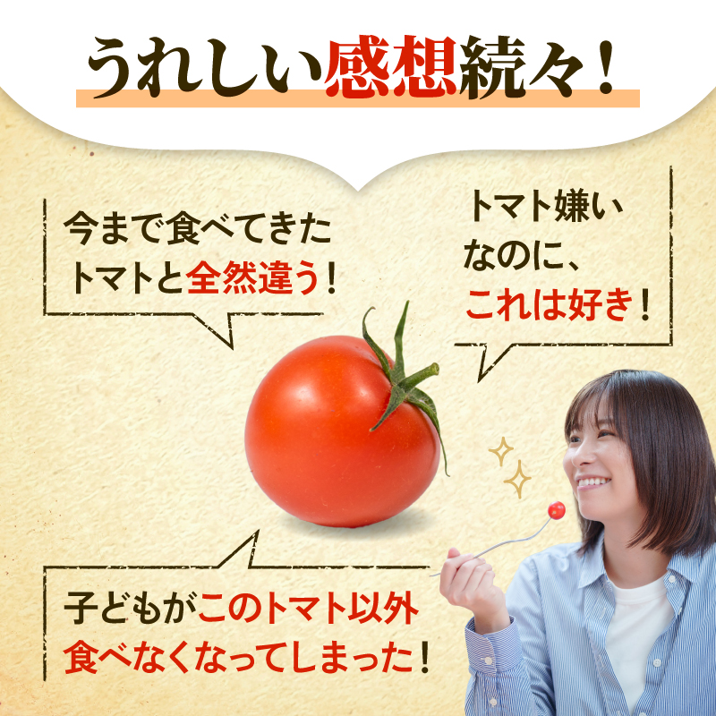 【 トマト 】 6パック 風の子ファーム 埼玉県 羽生市