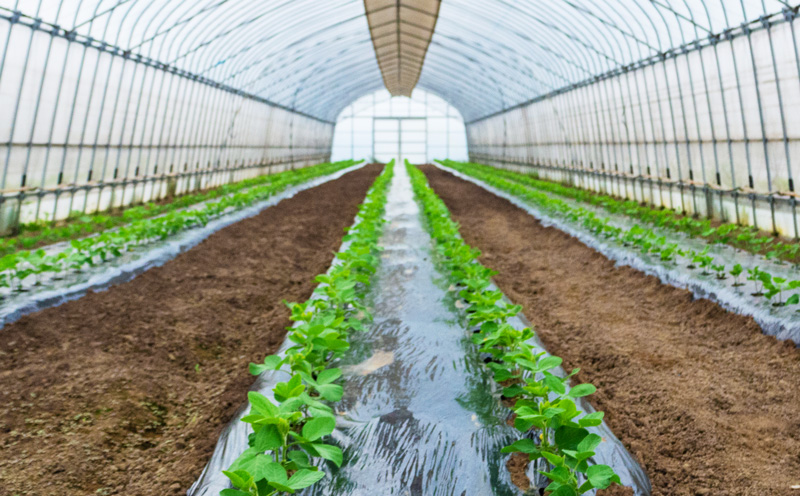 季節の野菜 定期便 1kg 3ヶ月 【定期便】季節の野菜 1kg 3ヶ月