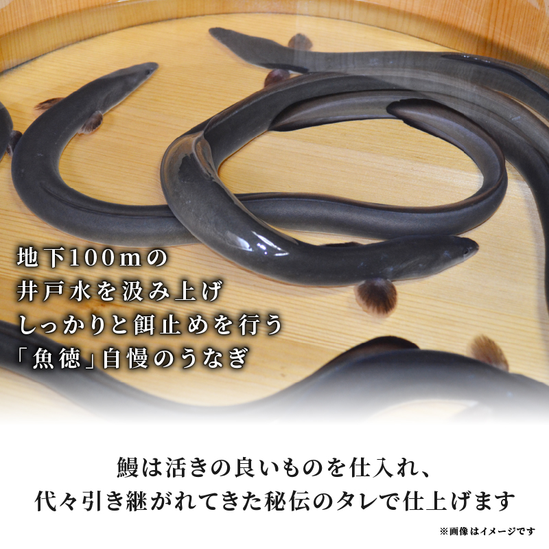 うなぎ 鰻 おにぎり 10個入 焼きうなぎり 魚徳 うなぎり 10個