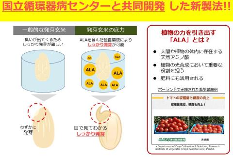発芽玄米の底力(ドライ米タイプ) 1kg×2袋 生活習慣病 ケア 高血圧 中性脂肪 コレステロール 対策 健康 羽生 埼玉