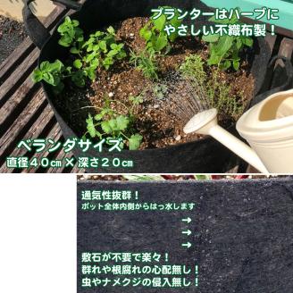 ハーブ栽培セット ～届いたその日から始められる～「ティーハーブ」