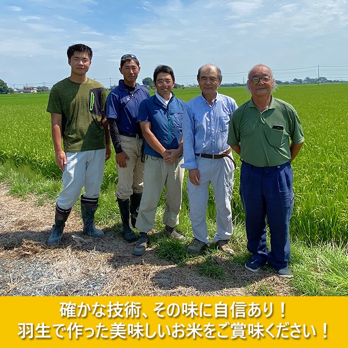 【予約】令和6年産 玄米 コシヒカリ 30kg 新米 | お米 おこめ 米 こめ