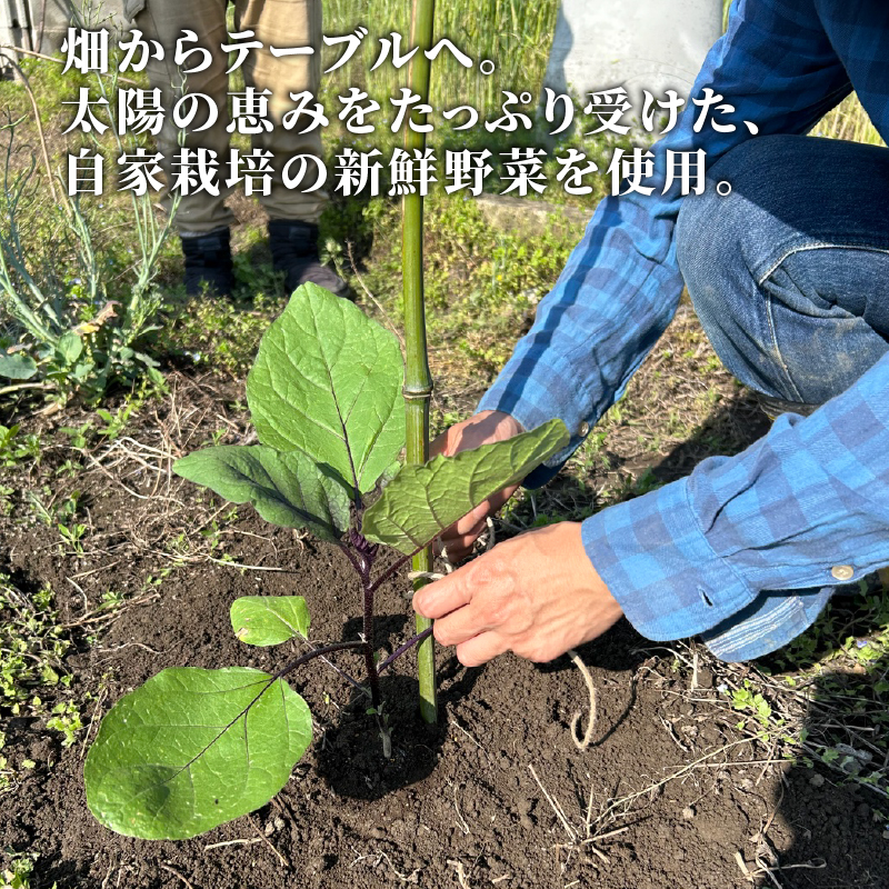 訳あり 冷凍 ピザ 3枚 セット マルゲリータ アンチョビ ブラックオリーブ ベーコン 玉ねぎ チーズ 全粒粉 イタリア料理店 カーザミーア 埼玉県 羽生市