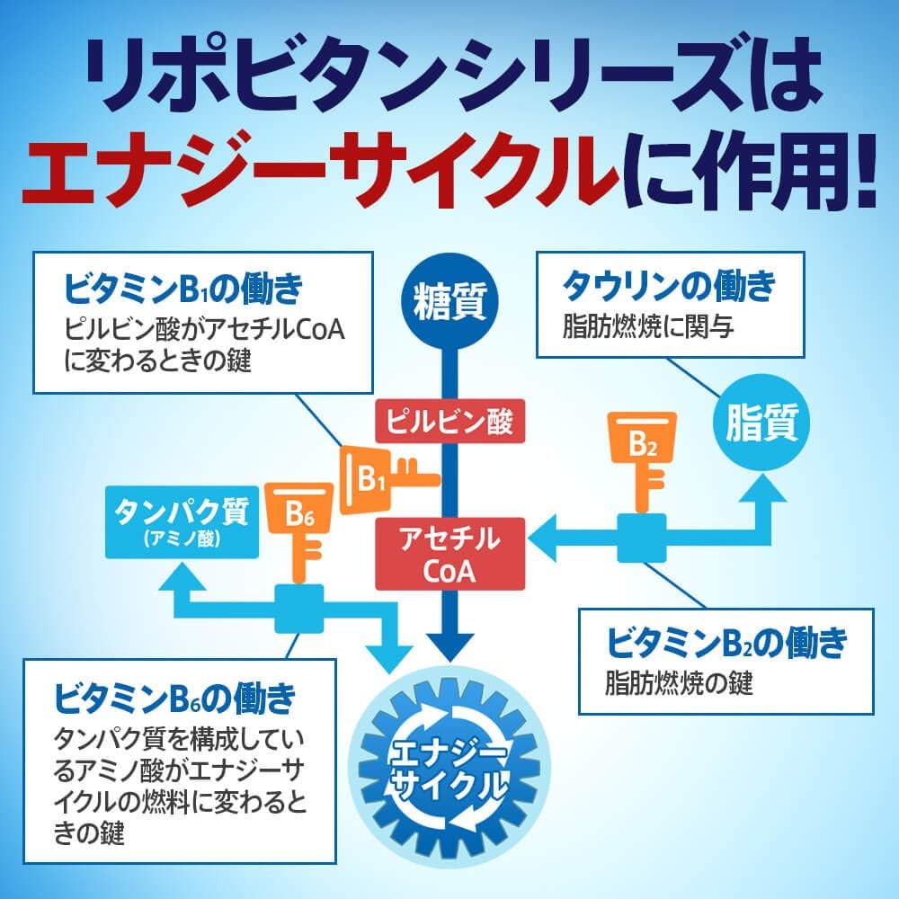 リポビタンD 50本 リポD タウリン ビタミン 栄養ドリンク 大正製薬 医薬部外品 健康 埼玉県 羽生市 観光協会