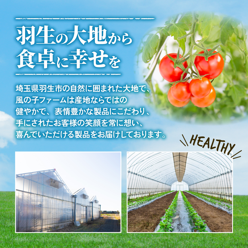 【 トマト 】 6パック 風の子ファーム 埼玉県 羽生市