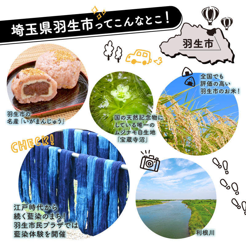 彩のきずな 10kg 令和6年 2024年 特別栽培米 pino farm ブランド米 お米 おこめ