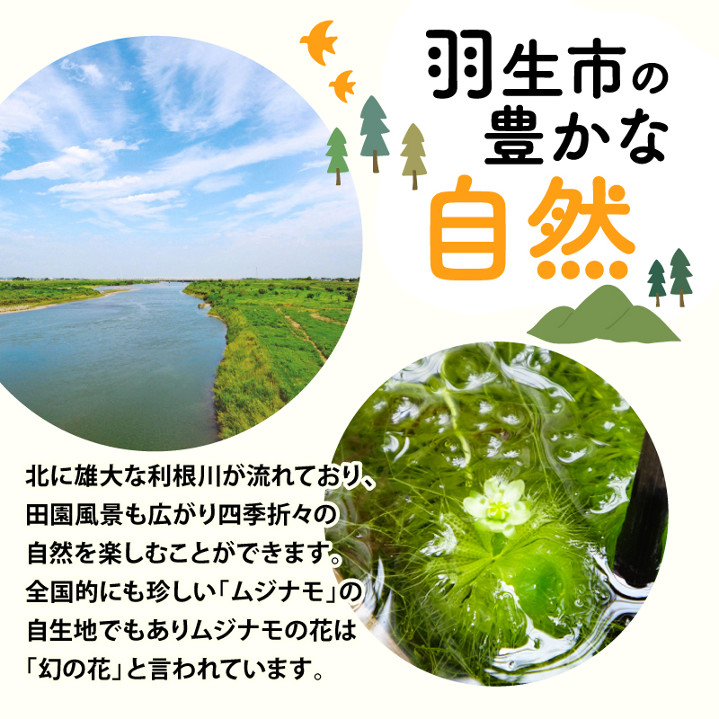 ミノン UV マイルド ジェル 70g 5本 日焼け止め 5本