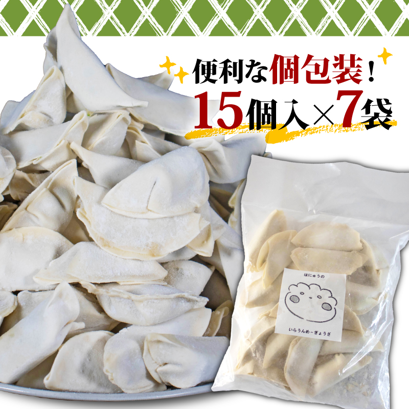 訳あり 冷凍餃子 105個 うまみ家 惣菜 点心 中華 ぎょうざ
