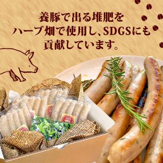 ハーブ ウインナー 20本 800g ローズマリー バジル 化粧箱入り 豚肉 おつまみ 無添加 三元豚 肉 さんげんとん ポタジェガーデン
