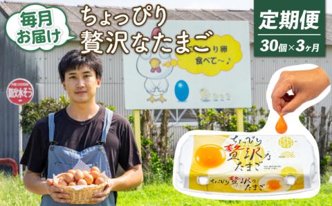 【定期便3回】こだわり たまご 30個 (10個×3パック) 新鮮 平飼い 卵 埼玉県 羽生市 送料無料