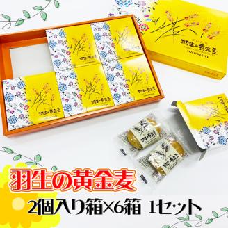 お菓子 羽生の黄金麦 2個入り箱×6箱 1セット 洋菓子 小分け お土産 プレゼント 手土産 焼き菓子 埼玉県 羽生市