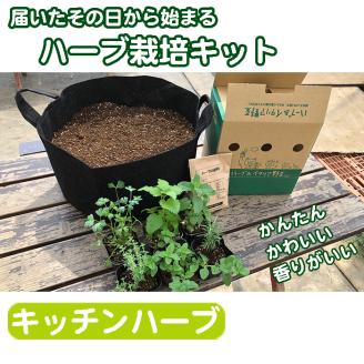 ハーブ栽培セット ～届いたその日から始められる～「キッチンハーブ」