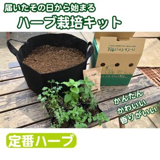 ハーブ栽培セット ～届いたその日から始められる～「定番ハーブ」
