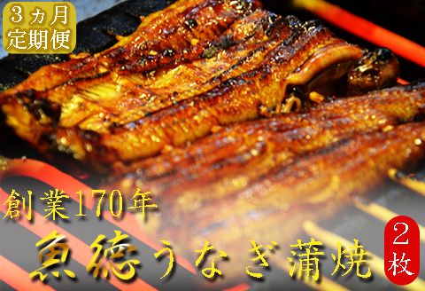 【 定期便 】うなぎ 蒲焼 120g 2枚 3回 鰻 ウナギ 並蒲焼 2枚 定期便3回