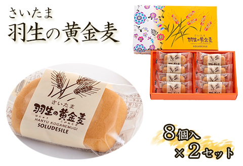お菓子 羽生の黄金麦 8個入り箱×2箱 小分け お土産 プレゼント 手土産 埼玉県 羽生市