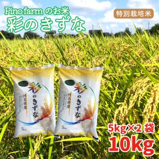 彩のきずな 10kg 令和6年 2024年 特別栽培米 pino farm ブランド米 お米 おこめ